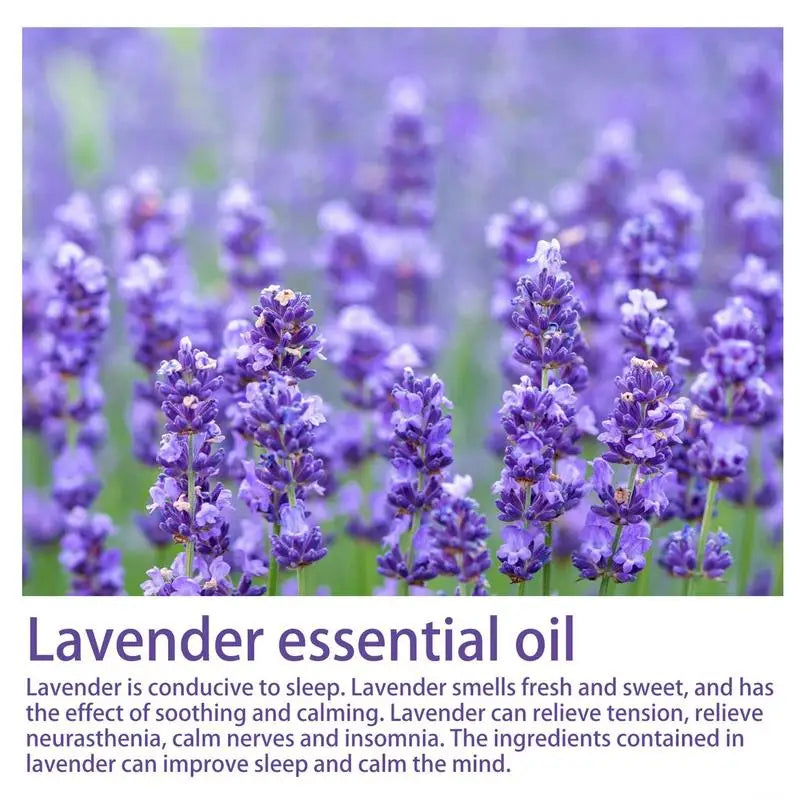 Lavender Sleep Spray 30ml Aromatherapy Sleep